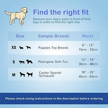 Load image into Gallery viewer, Disposable Male Wrap Dog Diapers Simple and Convenient, Medium 60 Pack
